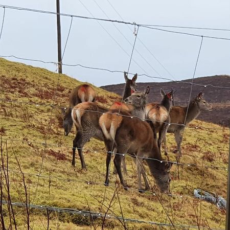 Stags View Holiday Home Portree Buitenkant foto