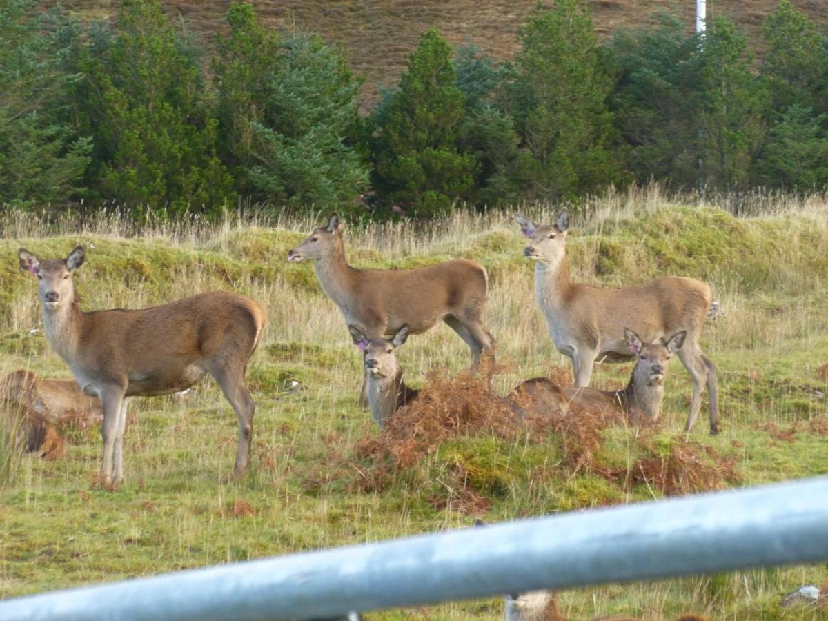 Stags View Holiday Home Portree Buitenkant foto